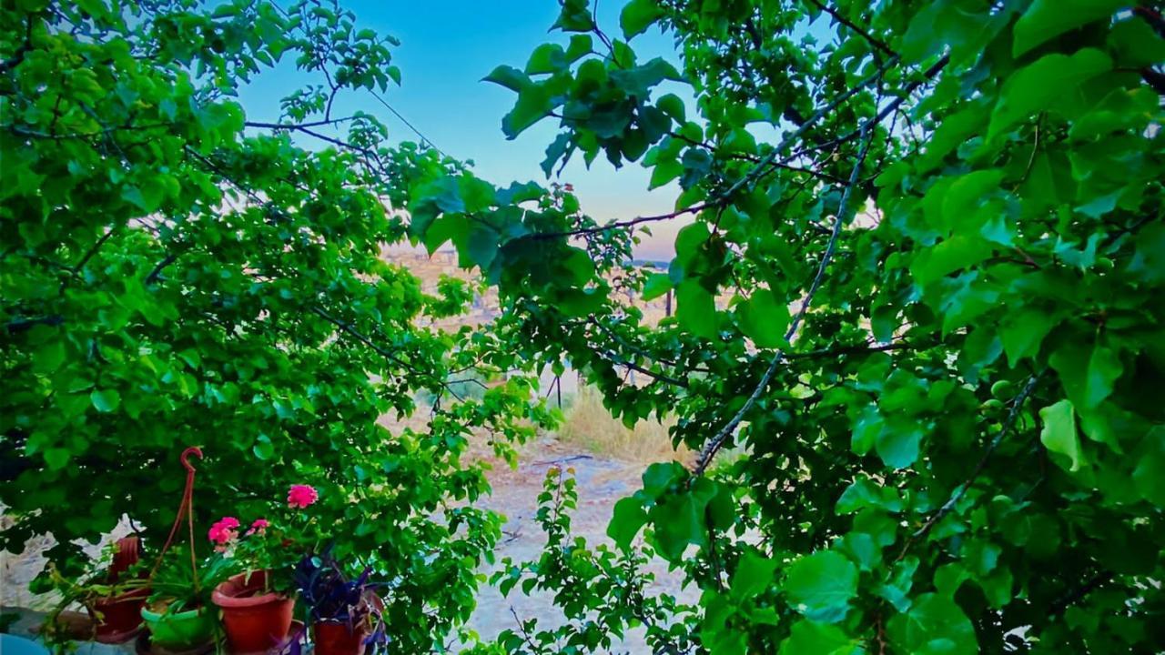 Jerash Canopy จีราช ภายนอก รูปภาพ